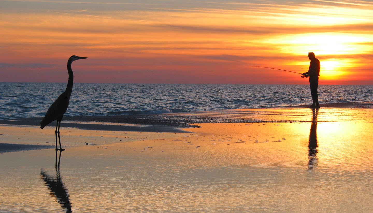 Darwin - Birds standing on the beach in front of the sunset, Darwin